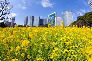 海绵城市建设获阶段性成果丰满理想逐步实现